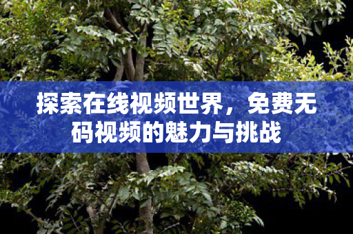 探索在线视频世界，免费无码视频的魅力与挑战