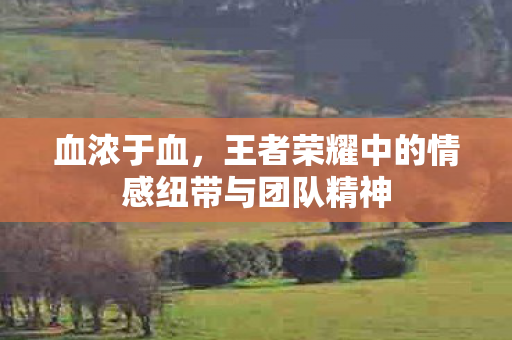 血浓于血，王者荣耀中的情感纽带与团队精神