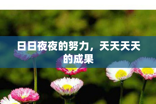 日日夜夜的努力，天天天天的成果