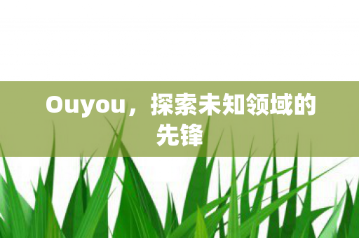 Ouyou,探索未知领域的先锋 Ouyou,探索未知领域的先锋