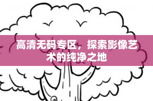 高清无码专区，探索影像艺术的纯净之地