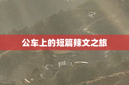 公车上的短篇辣文之旅 公车上的短篇辣文之旅