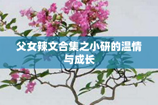 父女辣文合集之小研的温情与成长 父女辣文合集之小研的温情与成长