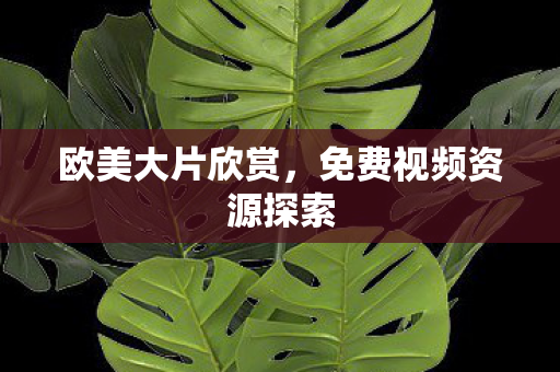 欧美大片欣赏，免费视频资源探索