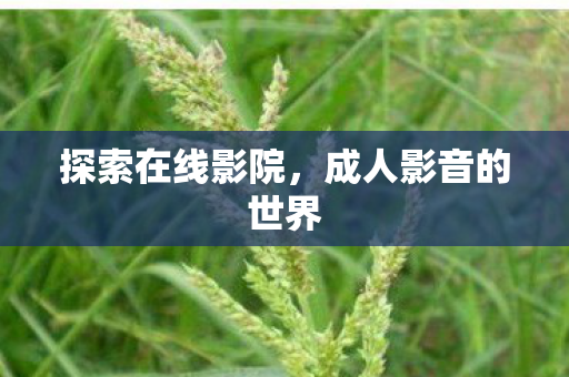 探索在线影院，成人影音的世界