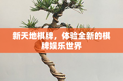 新天地棋牌，体验全新的棋牌娱乐世界