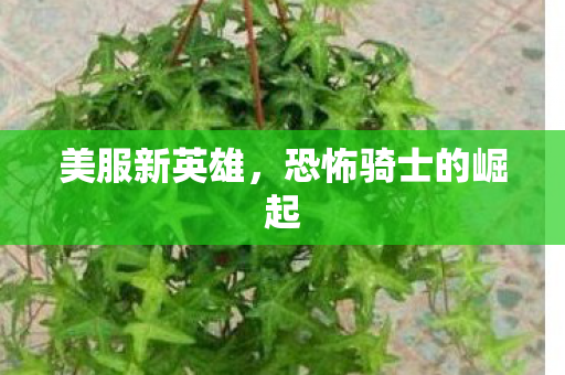 美服新英雄，恐怖骑士的崛起