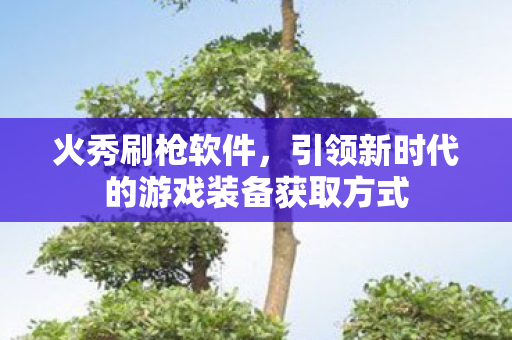 火秀刷枪软件，引领新时代的游戏装备获取方式