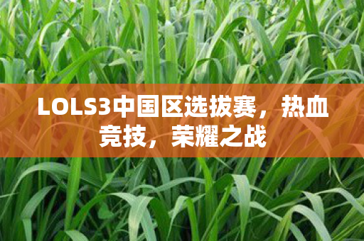 LOLS3中国区选拔赛，热血竞技，荣耀之战