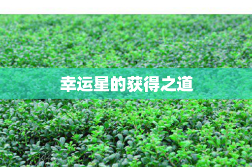 幸运星的获得之道 幸运星的获得之道