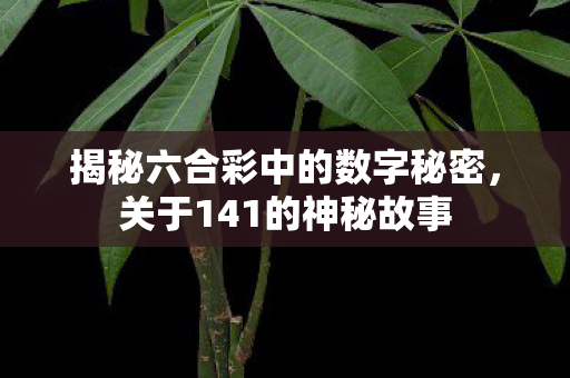 揭秘六合彩中的数字秘密，关于141的神秘故事