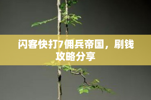 闪客快打7佣兵帝国，刷钱攻略分享