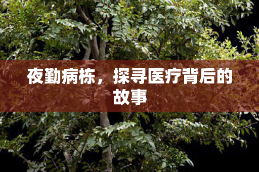 夜勤病栋，探寻医疗背后的故事