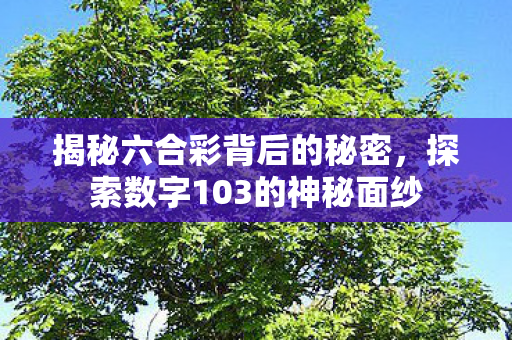 揭秘六合彩背后的秘密，探索数字103的神秘面纱