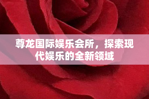 尊龙国际娱乐会所，探索现代娱乐的全新领域