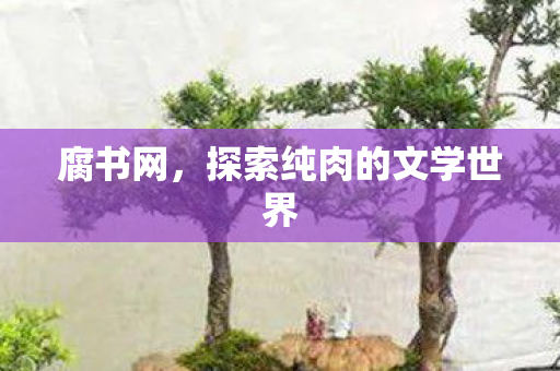 腐书网，探索纯肉的文学世界