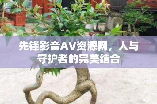 先锋影音AV资源网，人与守护者的完美结合