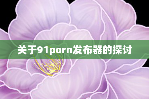 关于91porn发布器的探讨
