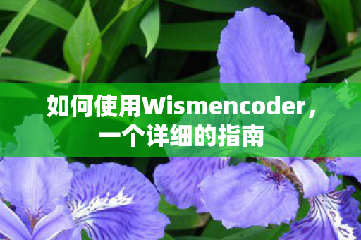 如何使用Wismencoder，一个详细的指南