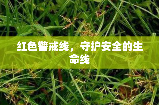 红色警戒线，守护安全的生命线