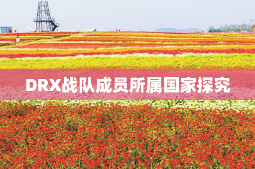 DRX战队成员所属国家探究