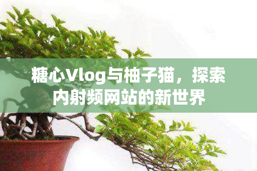 糖心Vlog与柚子猫，探索内射频网站的新世界