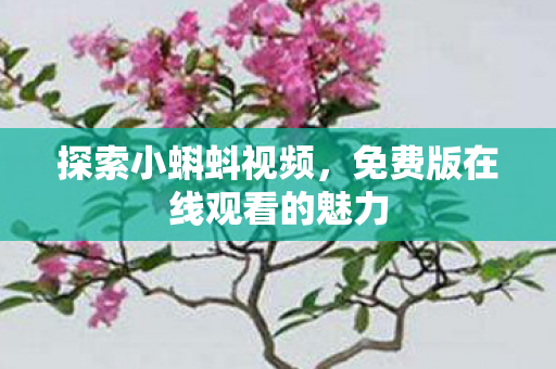 探索小蝌蚪视频，免费版在线观看的魅力