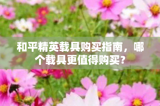 和平精英载具购买指南,哪个载具更值得购买? 和平精英载具购买指南,哪个载具更值得购买?