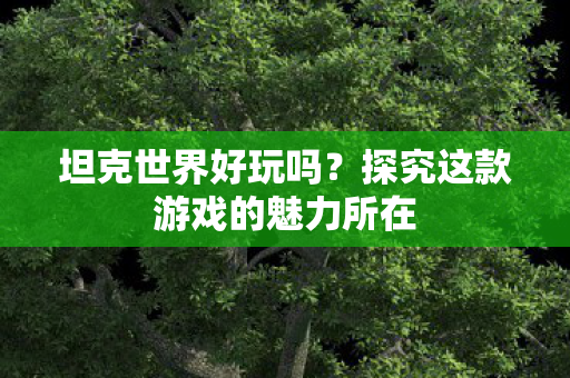坦克世界好玩吗？探究这款游戏的魅力所在