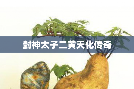 封神太子二黄天化传奇