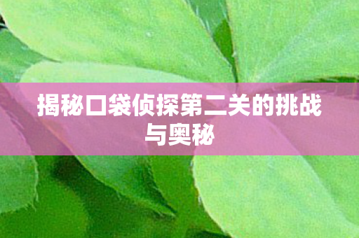 揭秘口袋侦探第二关的挑战与奥秘