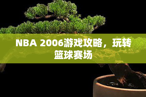 NBA 2006游戏攻略,玩转篮球赛场 NBA 2006游戏攻略,玩转篮球赛场