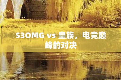 S3OMG vs 皇族，电竞巅峰的对决