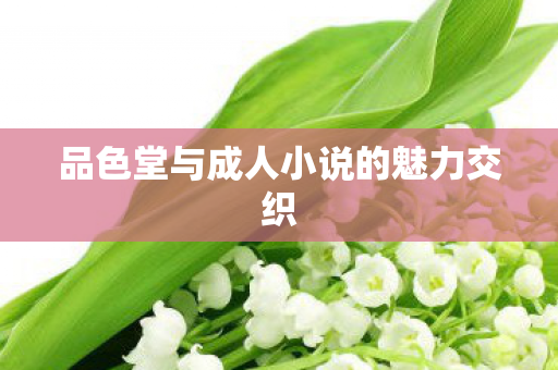 品色堂与成人小说的魅力交织