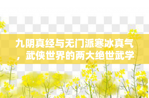 九阴真经与无门派寒冰真气，武侠世界的两大绝世武学