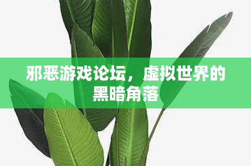 邪恶游戏论坛，虚拟世界的黑暗角落