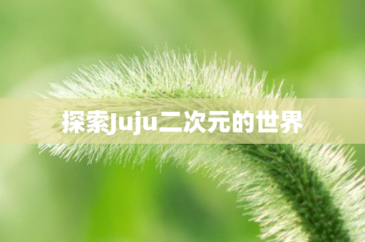 探索Juju二次元的世界