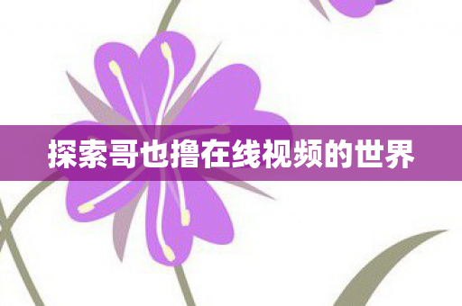 探索哥也撸在线视频的世界