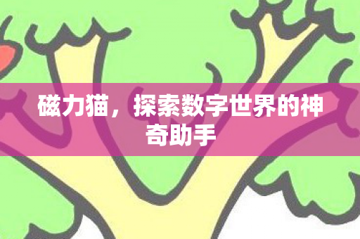 磁力猫，探索数字世界的神奇助手