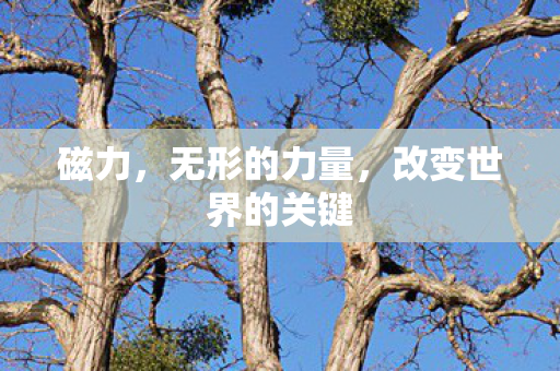 磁力，无形的力量，改变世界的关键