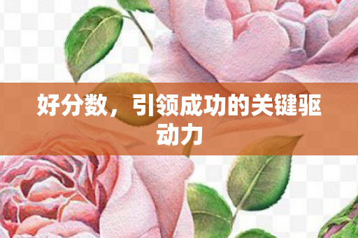 好分数,引领成功的关键驱动力 好分数,引领成功的关键驱动力