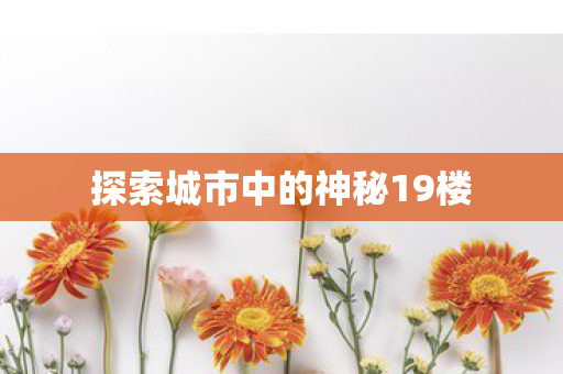 探索城市中的神秘19楼 探索城市中的神秘19楼