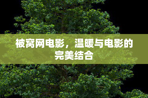 被窝网电影,温暖与电影的完美结合 被窝网电影,温暖与电影的完美结合