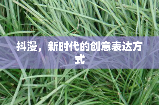 抖漫，新时代的创意表达方式
