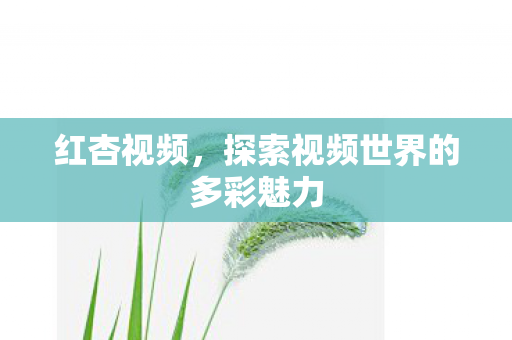 红杏视频，探索视频世界的多彩魅力
