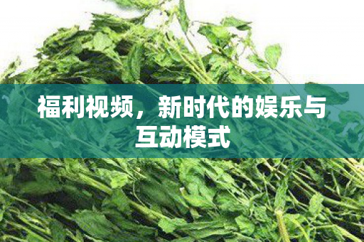 福利视频，新时代的娱乐与互动模式