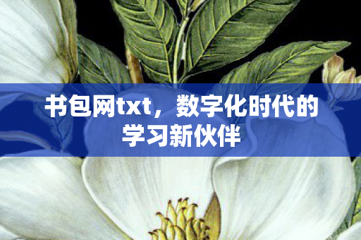 书包网txt，数字化时代的学习新伙伴