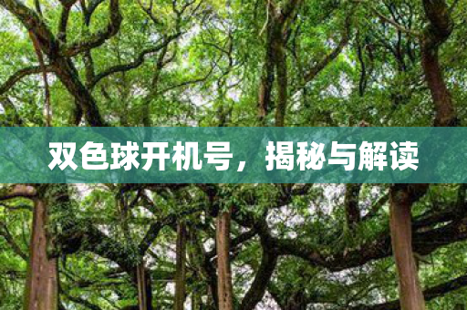 双色球开机号，揭秘与解读