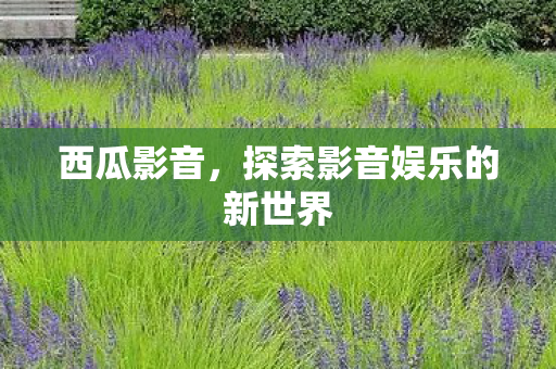 西瓜影音，探索影音娱乐的新世界