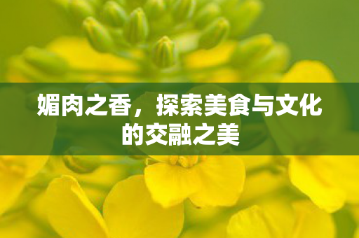媚肉之香，探索美食与文化的交融之美